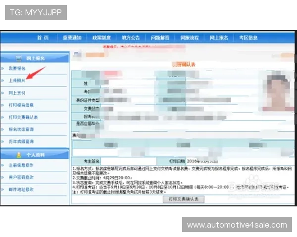 多米体育网址官方地址注册登录流程详解，助力新手快速上手